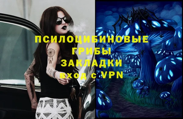 mdma Новозыбков