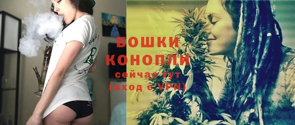 молекула духа Новодвинск