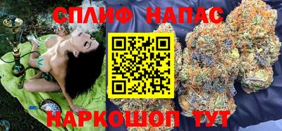 СК Балахна
