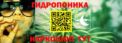 СК Балахна