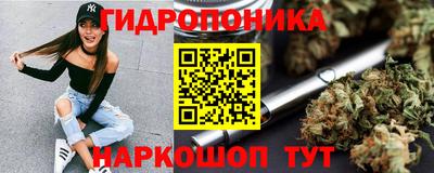 СК Балахна