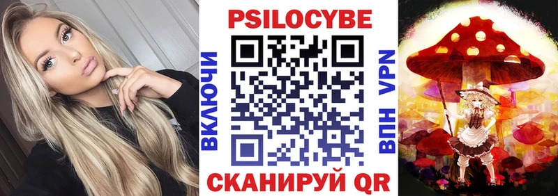 Псилоцибиновые грибы Cubensis  кракен сайт  Кыштым  закладки 