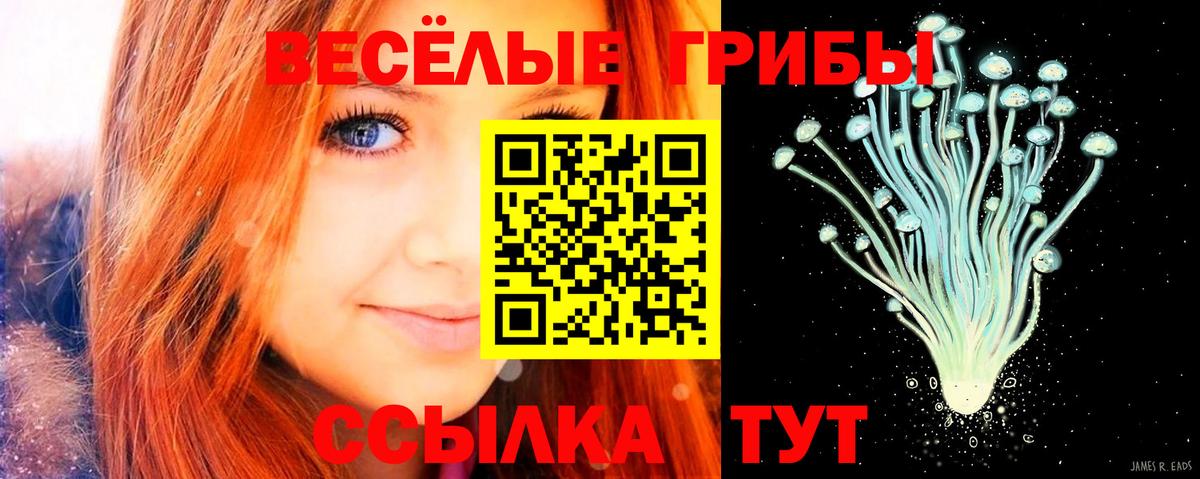 Кыштым  Галлюциногенные грибы ЛСД  Псилоцибиновые грибы прущие грибы  Вход с VPN 